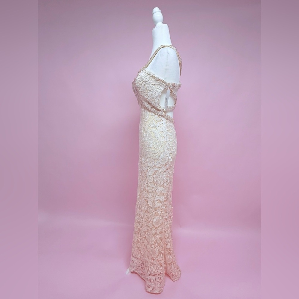 Stunning Lace Evening Gown - Picture 5 of 16